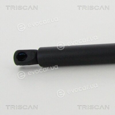 Triscan 8710 43245
