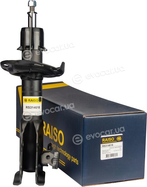 Raiso RS314618
