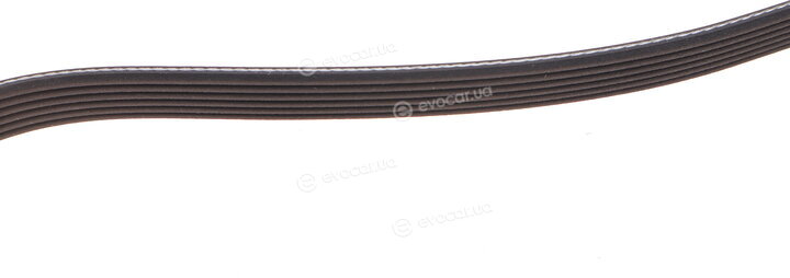 Dayco 6PK2250