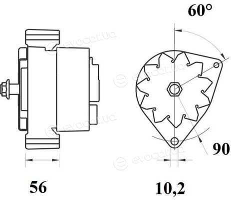 Mahle MG 781