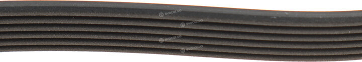 Dayco 6PK1955