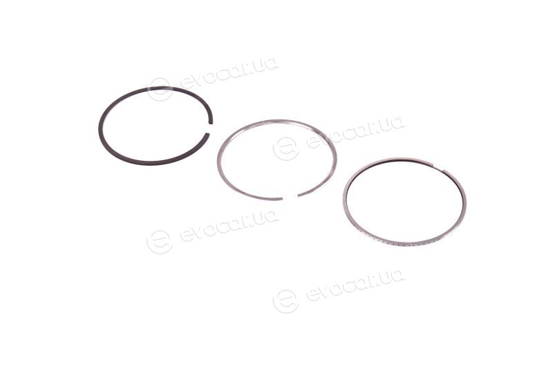 Mahle 001 RS 00111 0N0