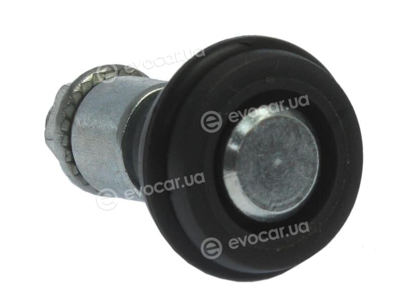 AIC 55888