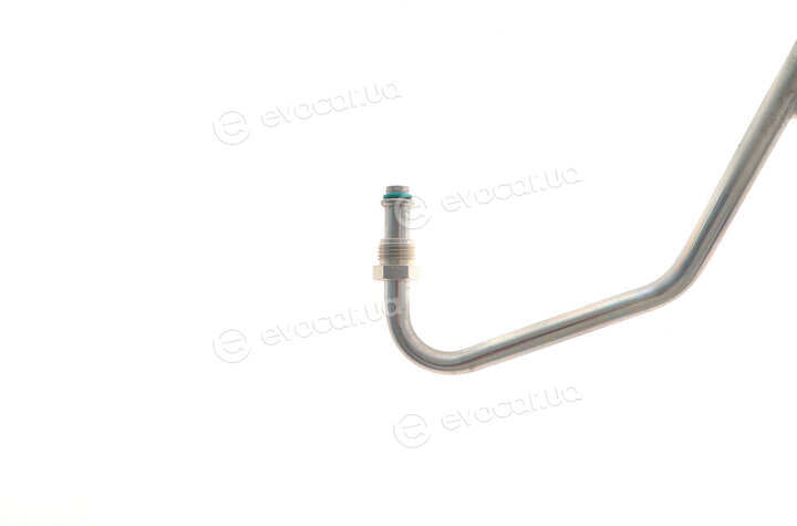 AIC 55928