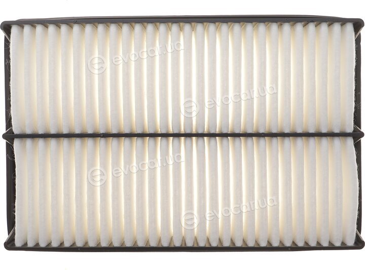 Solgy 103169