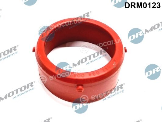 Dr. Motor DRM0123