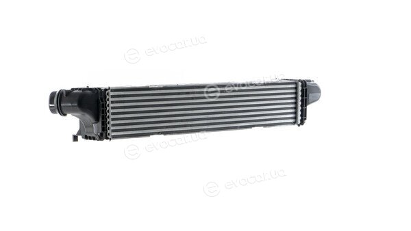 Mahle CI 145 000P