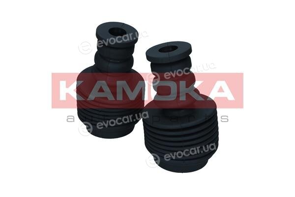 Kamoka 2019236