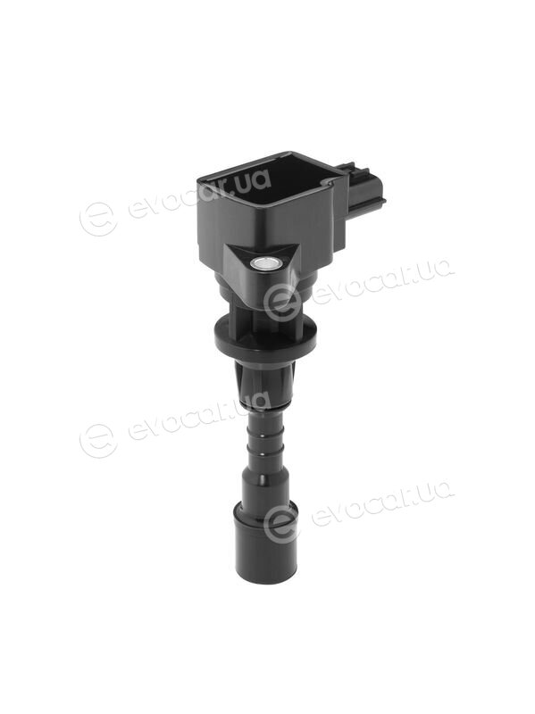 BorgWarner ZSE244