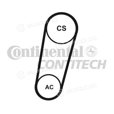 Continental 5PK705 ELAST T1