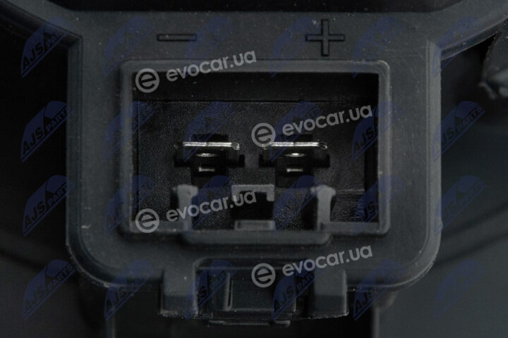 NTY EWN-FR-010