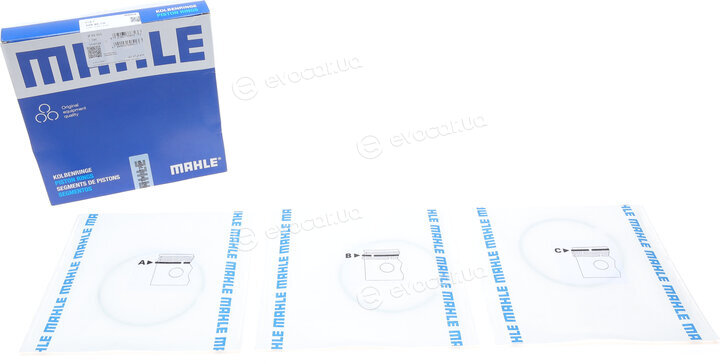 Mahle 009 90 V0