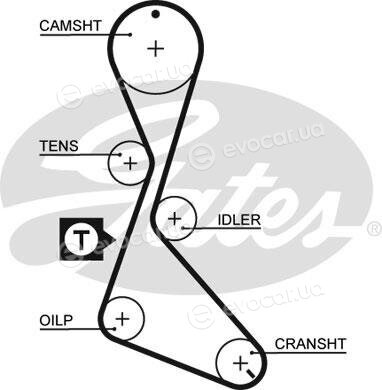 Gates K015130XS