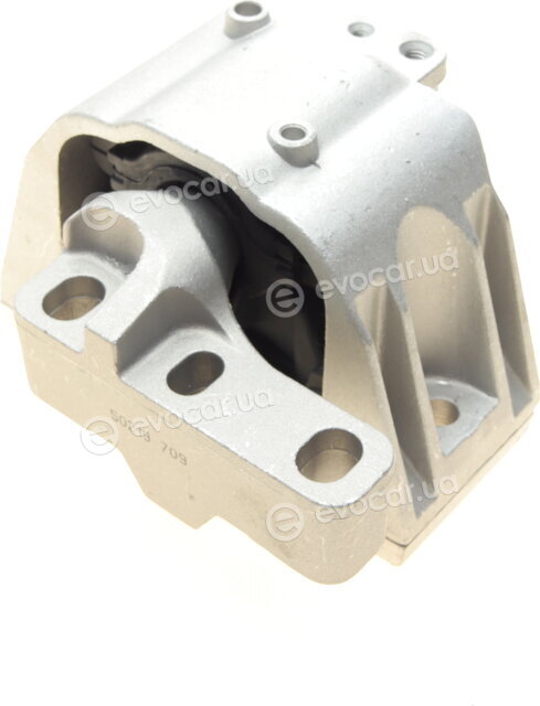 AIC 50219