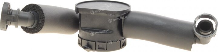AIC 55994