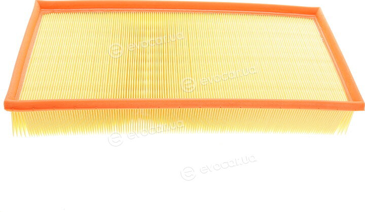 Mann C 39 219