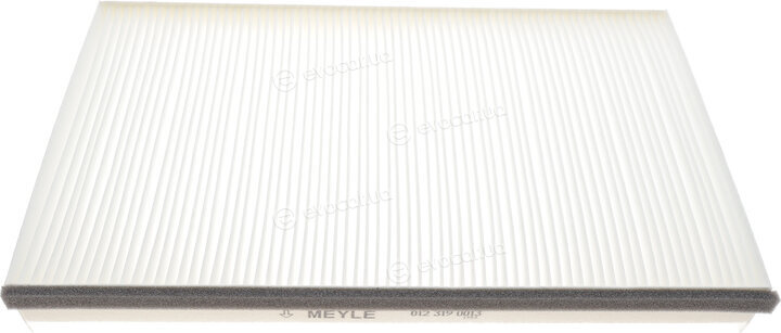 Meyle 012 319 0013