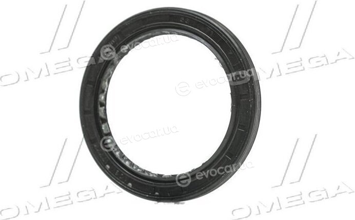 Elring 096.490