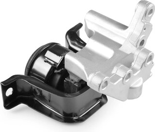 Tedgum TED37791