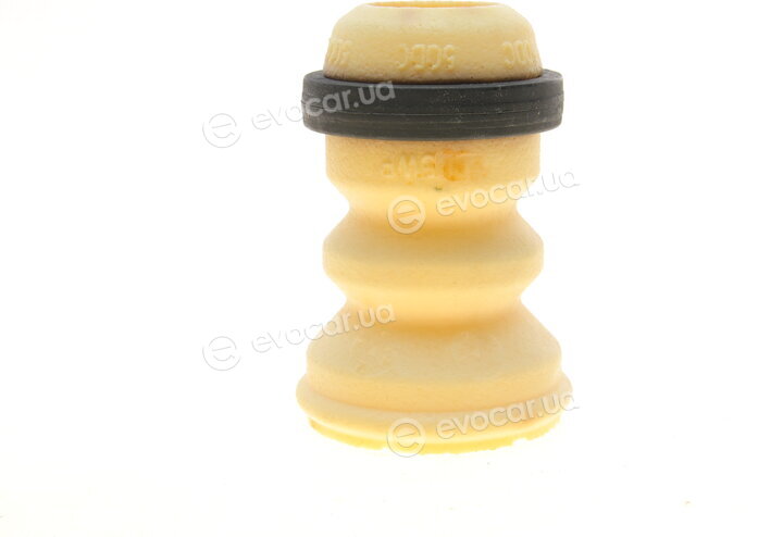 Borsehung B10024
