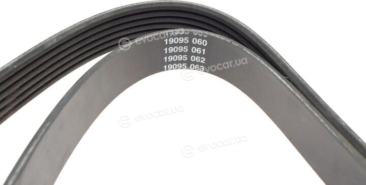 Dayco 6PK2070