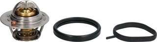 Mahle TX 204 82D