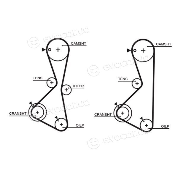 Gates K015373XS