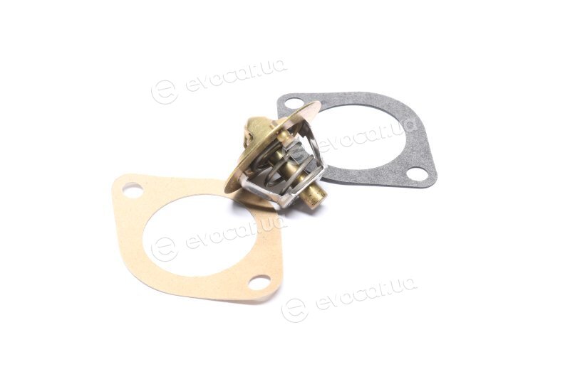 Wahler / BorgWarner 3119.82D5