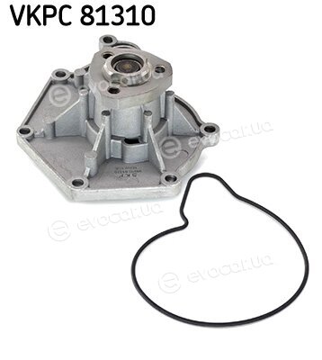 SKF VKPC 81310