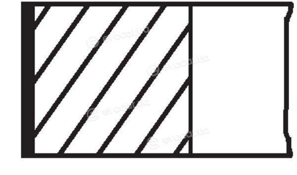 Mahle 504 41 N0