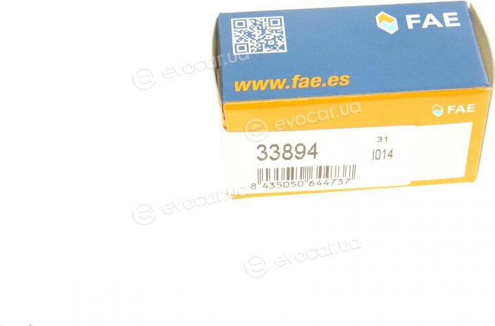 FAE 33894