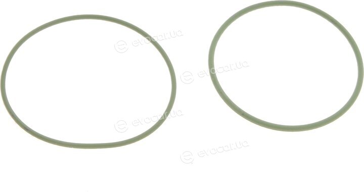 Bosch F01M101454