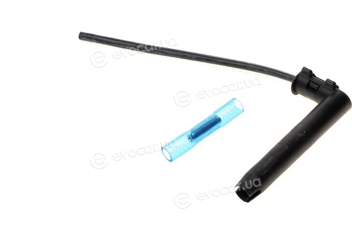 Solgy 412006