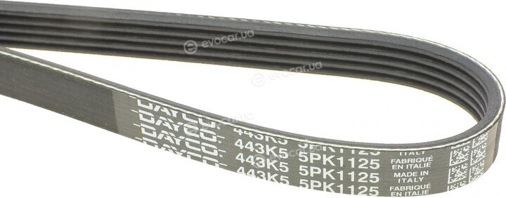 Dayco 5PK1125