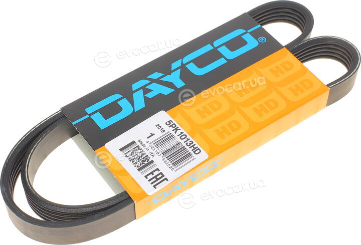 Dayco 5PK1013HD