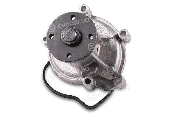 Hepu P1539