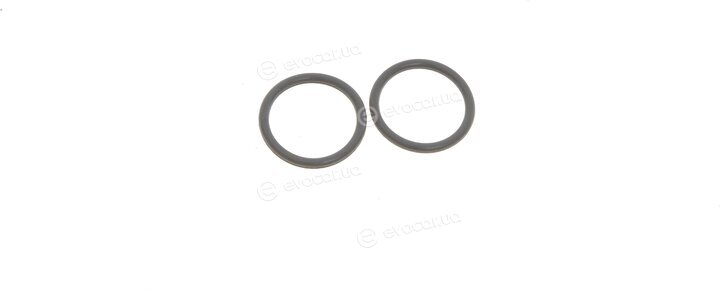 Solgy 112023