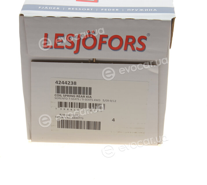 Lesjofors 4244238