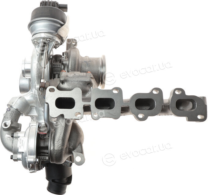 BorgWarner 10009880113