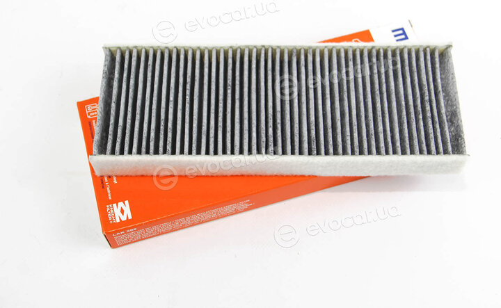 Mahle LAK 289