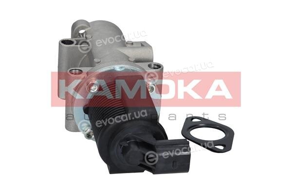 Kamoka 19014