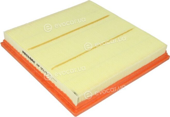 Filtron AP 051/8