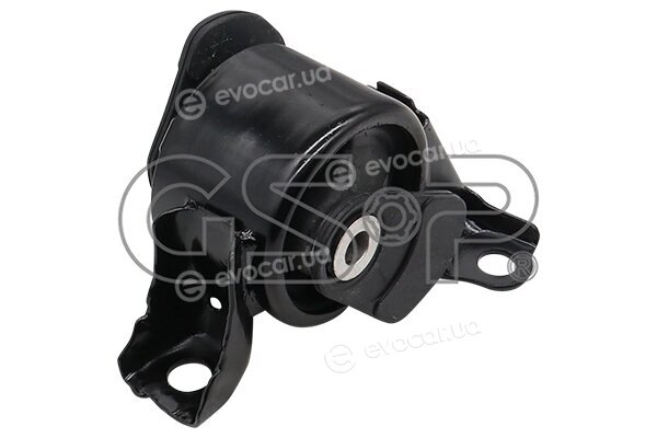 GSP 513382