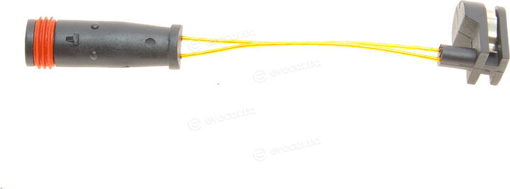 Solgy 209029