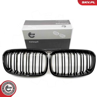 SKV 66SKV016
