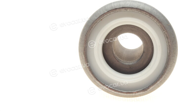 AIC 50244