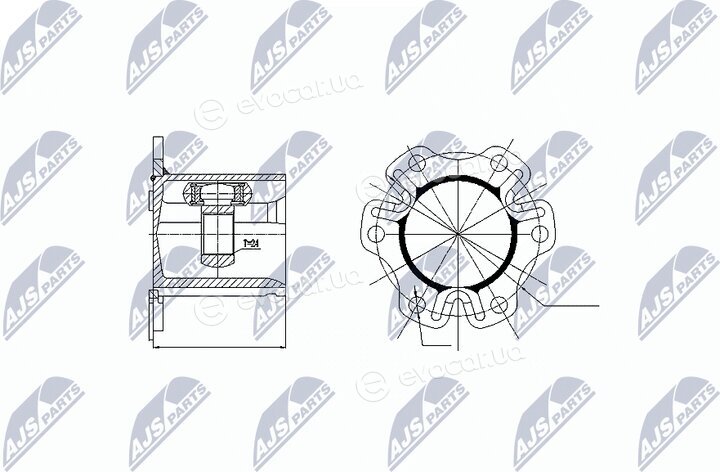 NTY NPW-AU-003