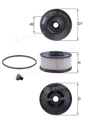 Mahle KX 591D