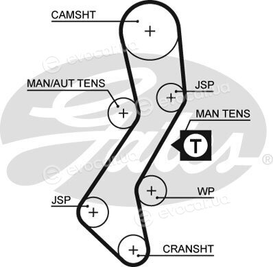 Gates KP35451XS-3