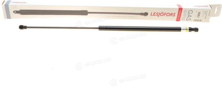 Lesjofors 8135729